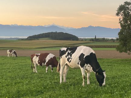 Visite de la ferme de Champ Colomb