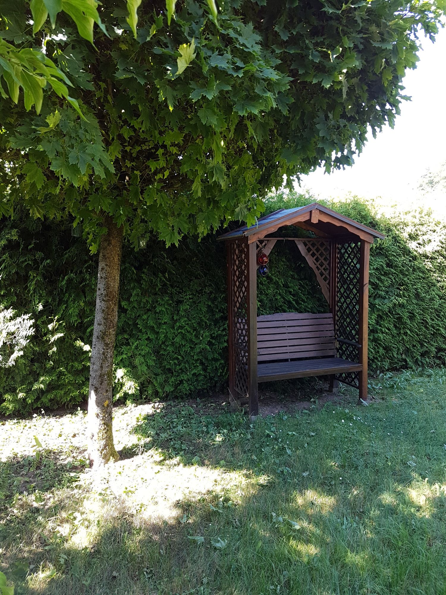 Liebeslaube