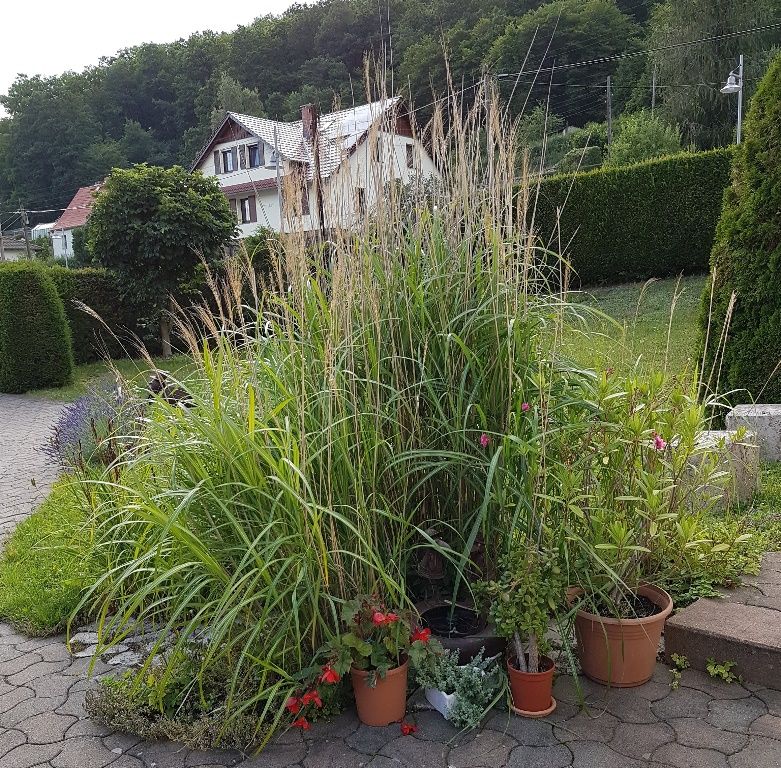 Garten