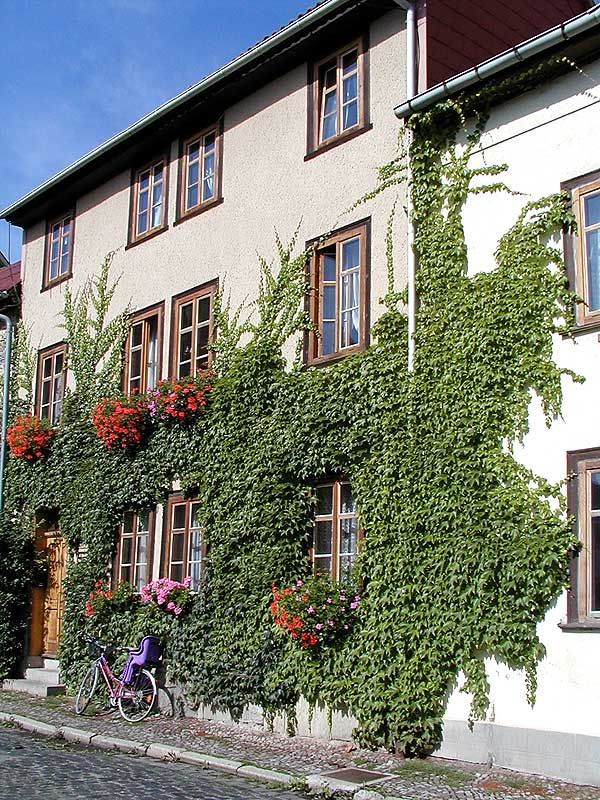 Straßenansicht älteres Foto