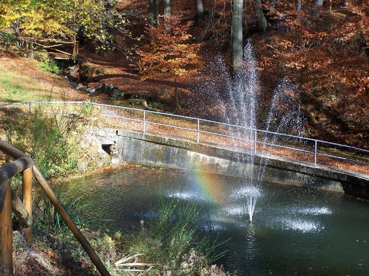 Am Herrenteich