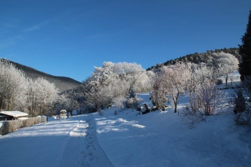 Unser Garten im Winter