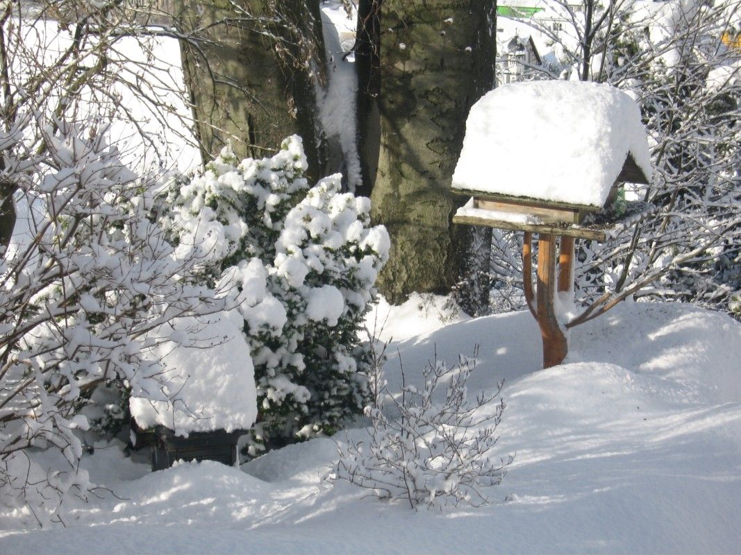 Unser Vogelhaus