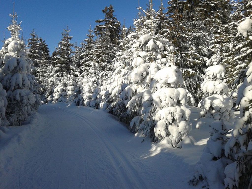 Langlaufloipe im Winter