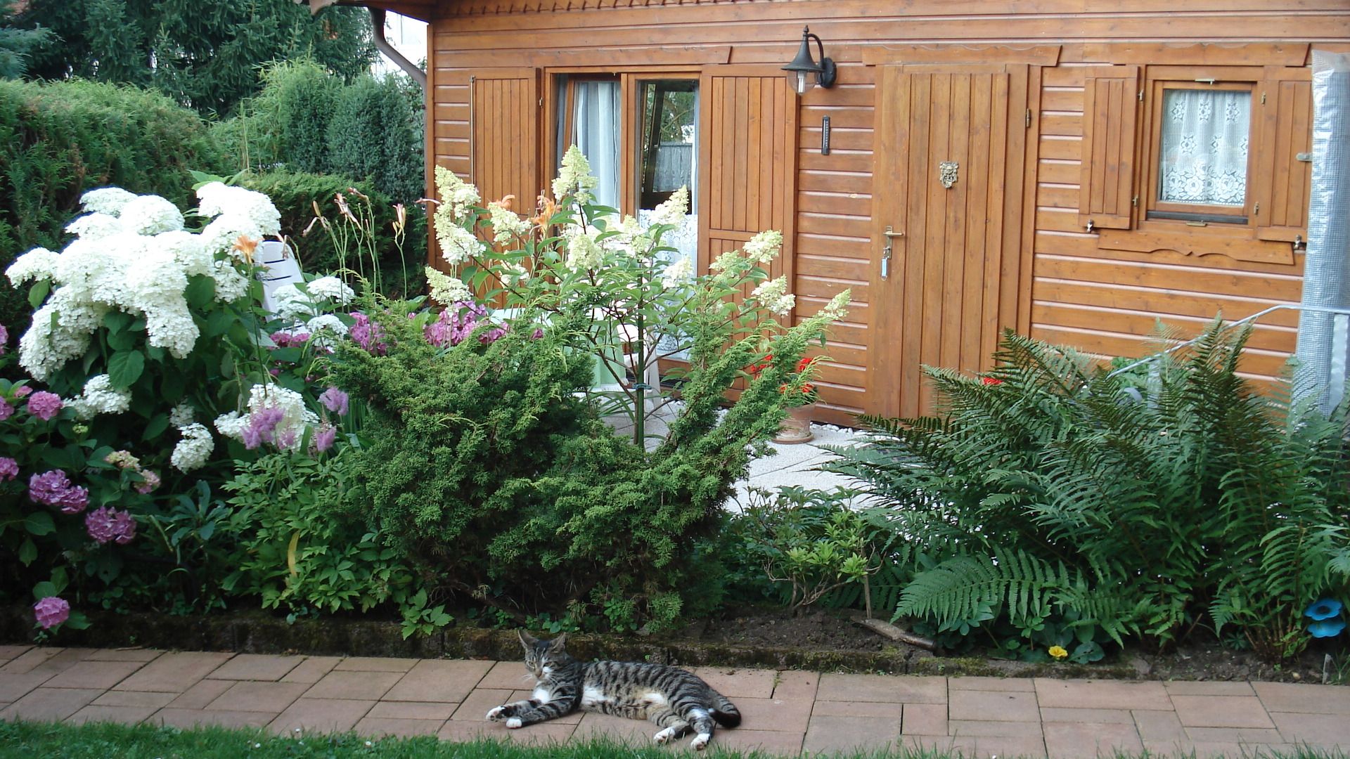 Tierische Besucher vor dem Ferienhaus Wenzel