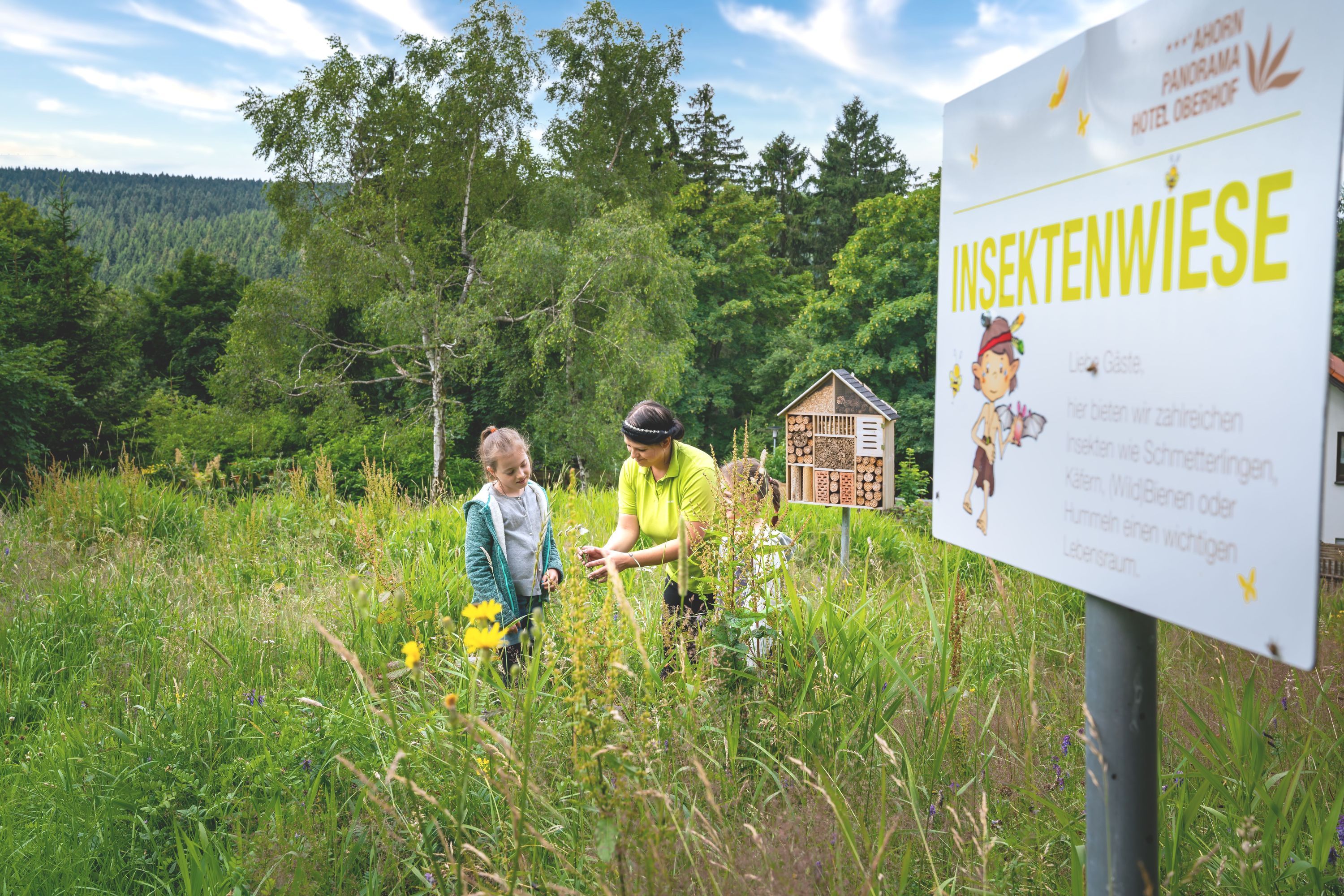 Insektenwiese für Kinder