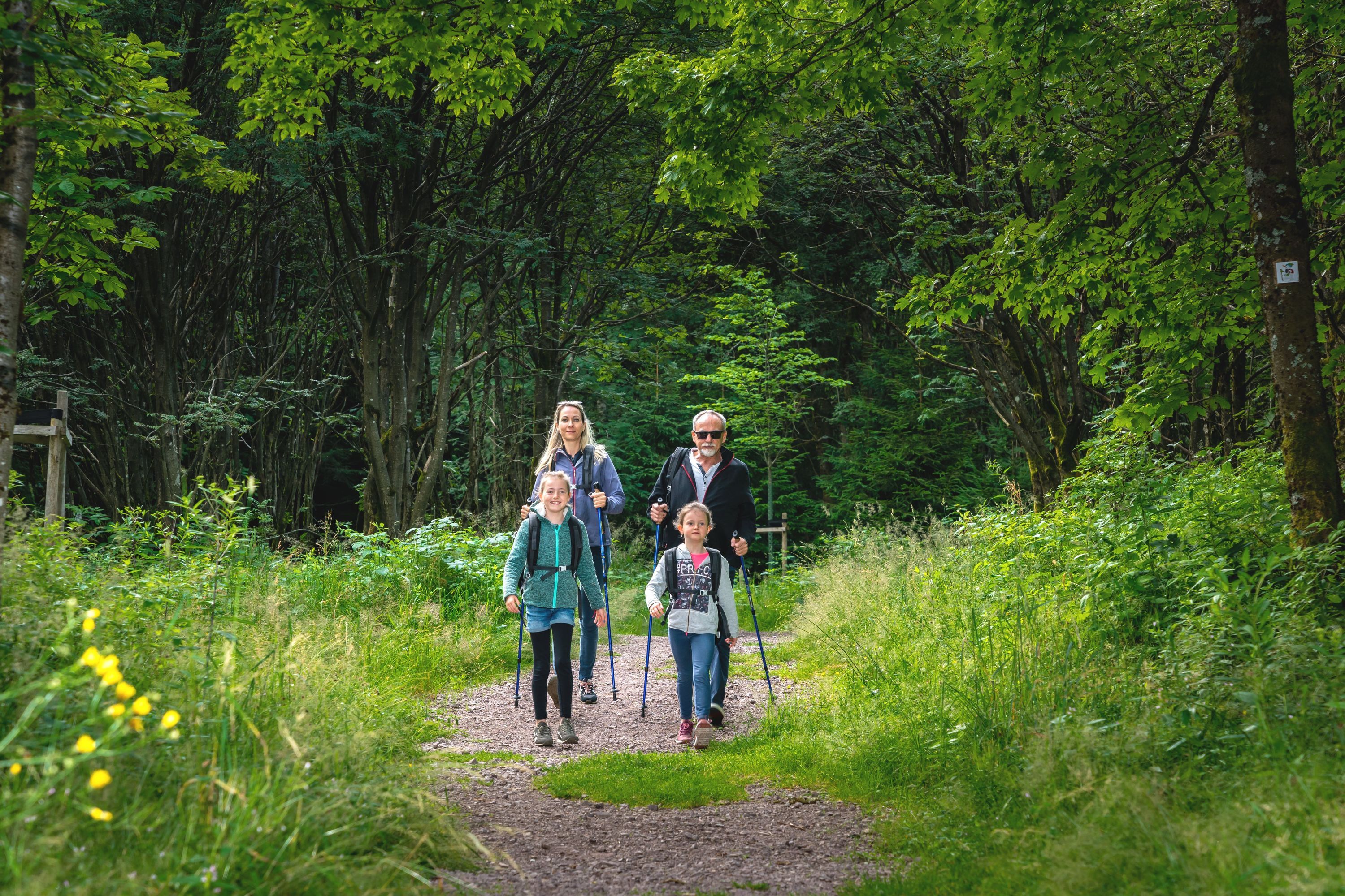 Wandern