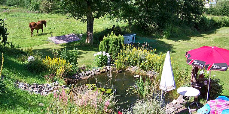 Aktiv Pension Oberhof Garten