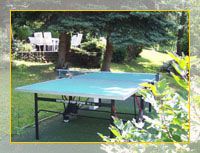 Tischtennisplatte