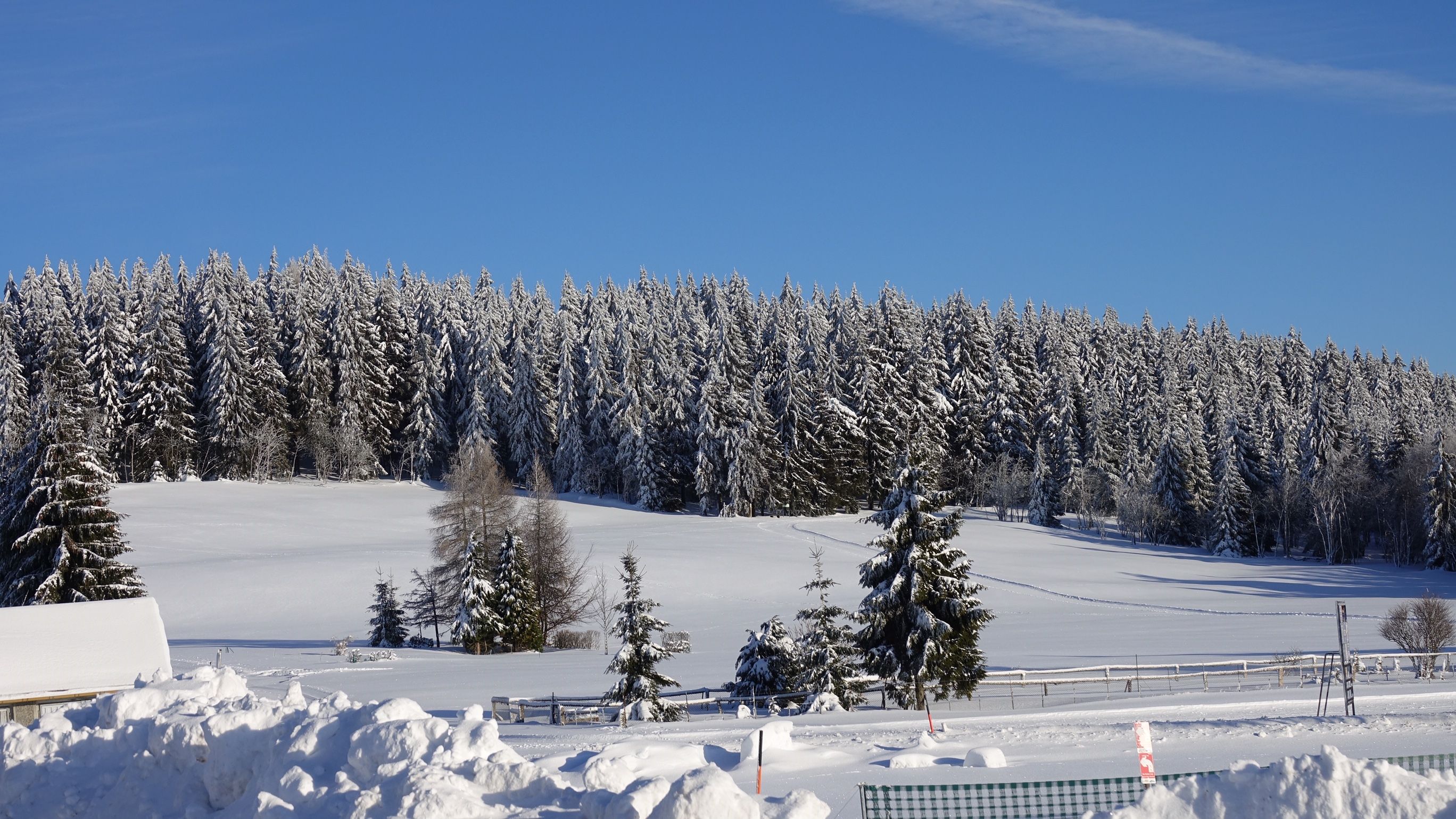 Winterlandschaft