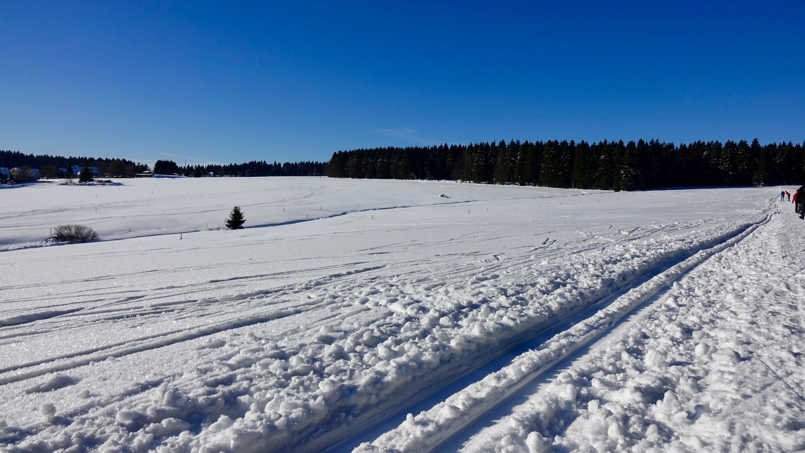 Langlauf Loipen
