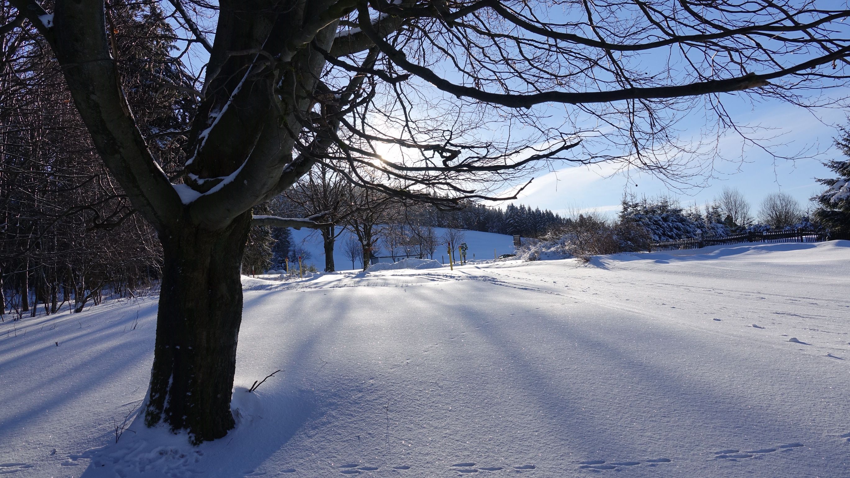 Winterlandschaft