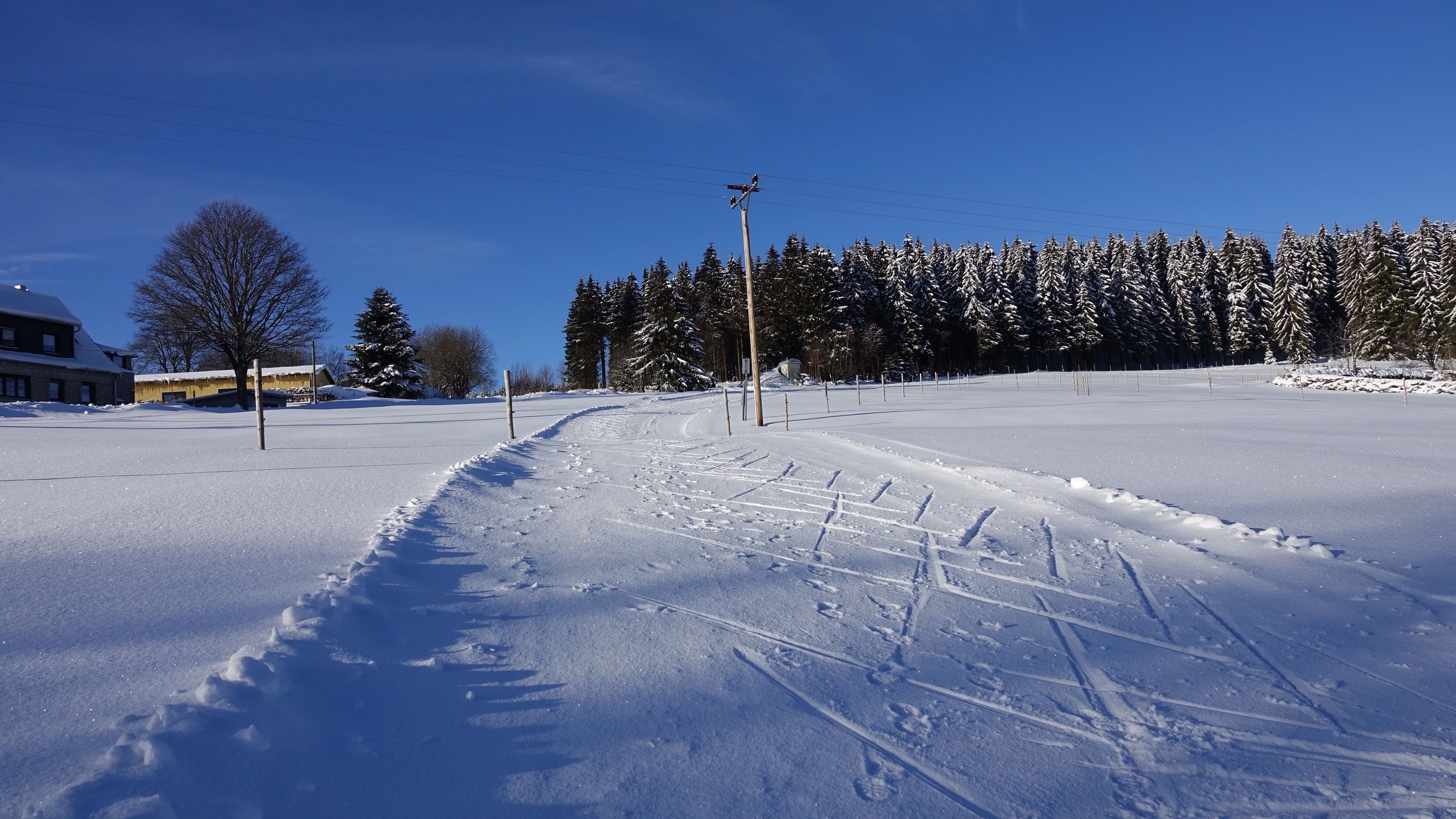 Langlauf Loipen