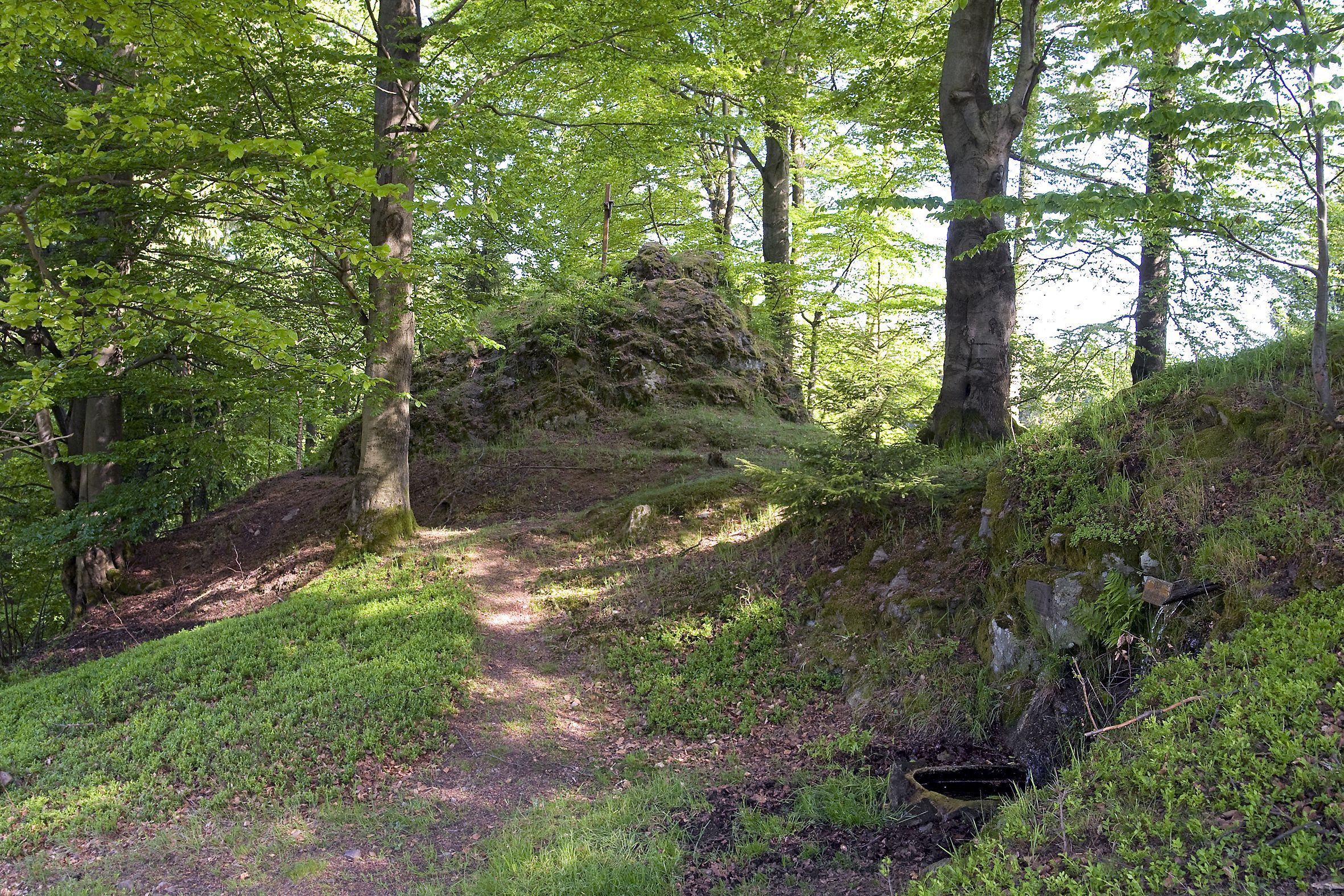 Wald