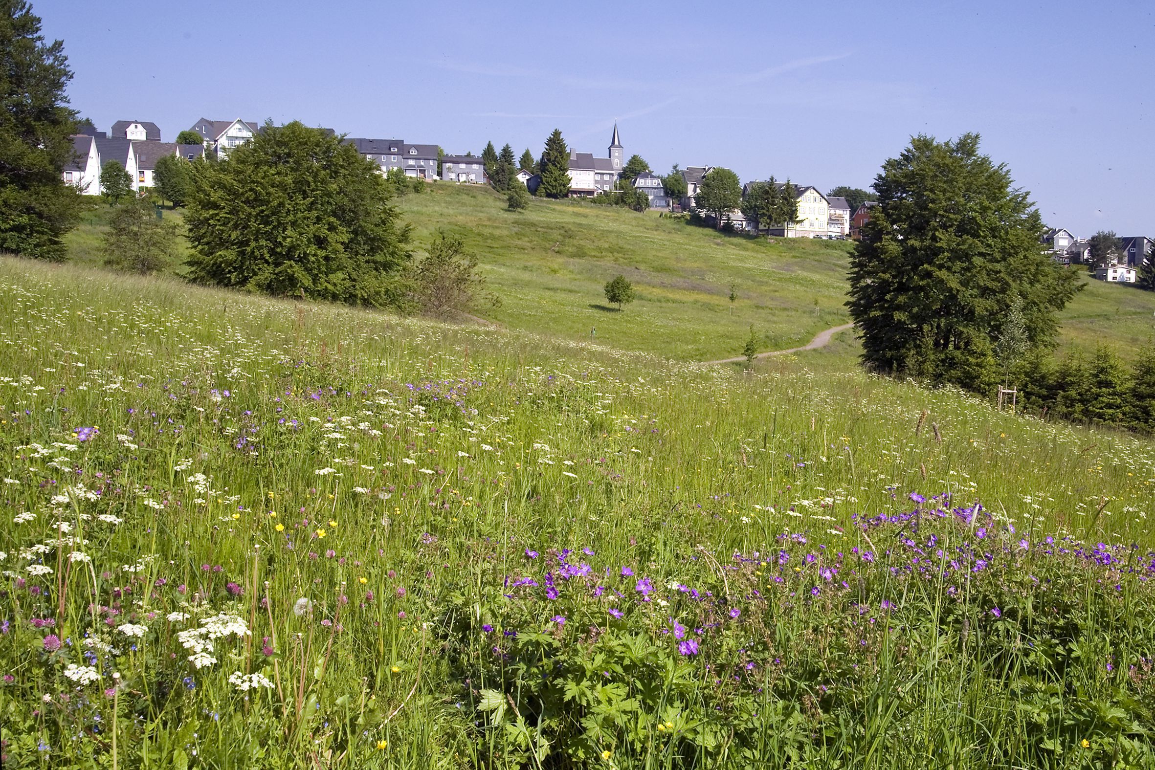 Masserberg
