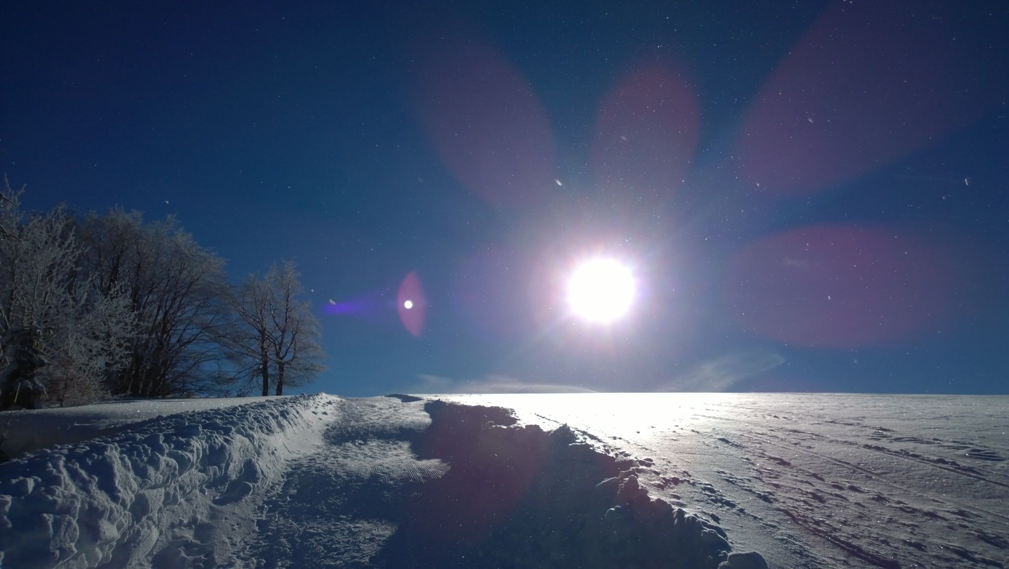 Winter