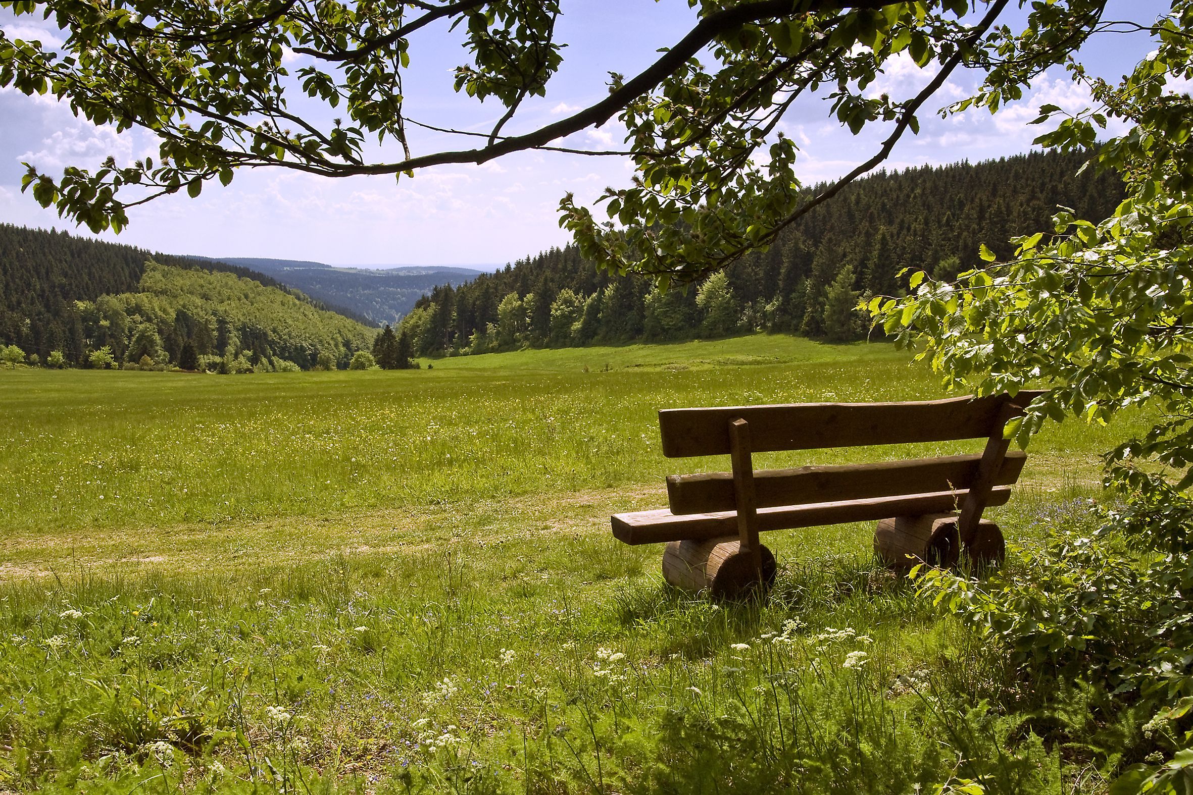 Rennsteig