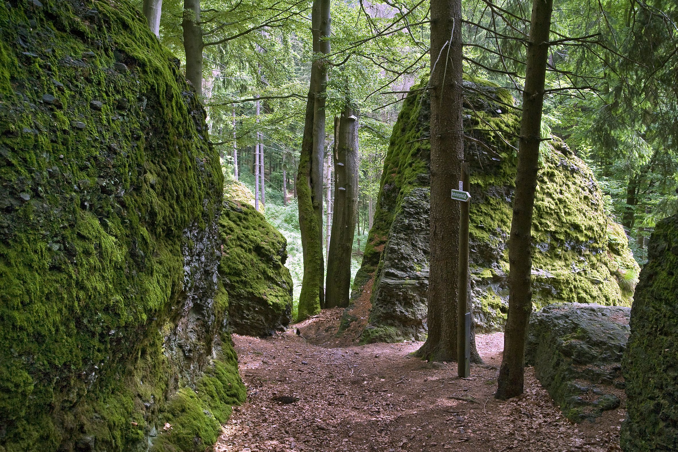 Wald