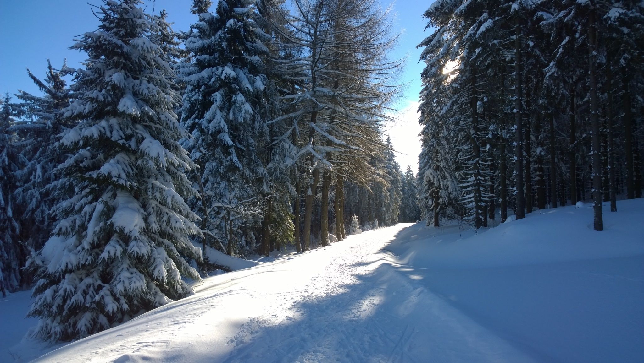 Winter