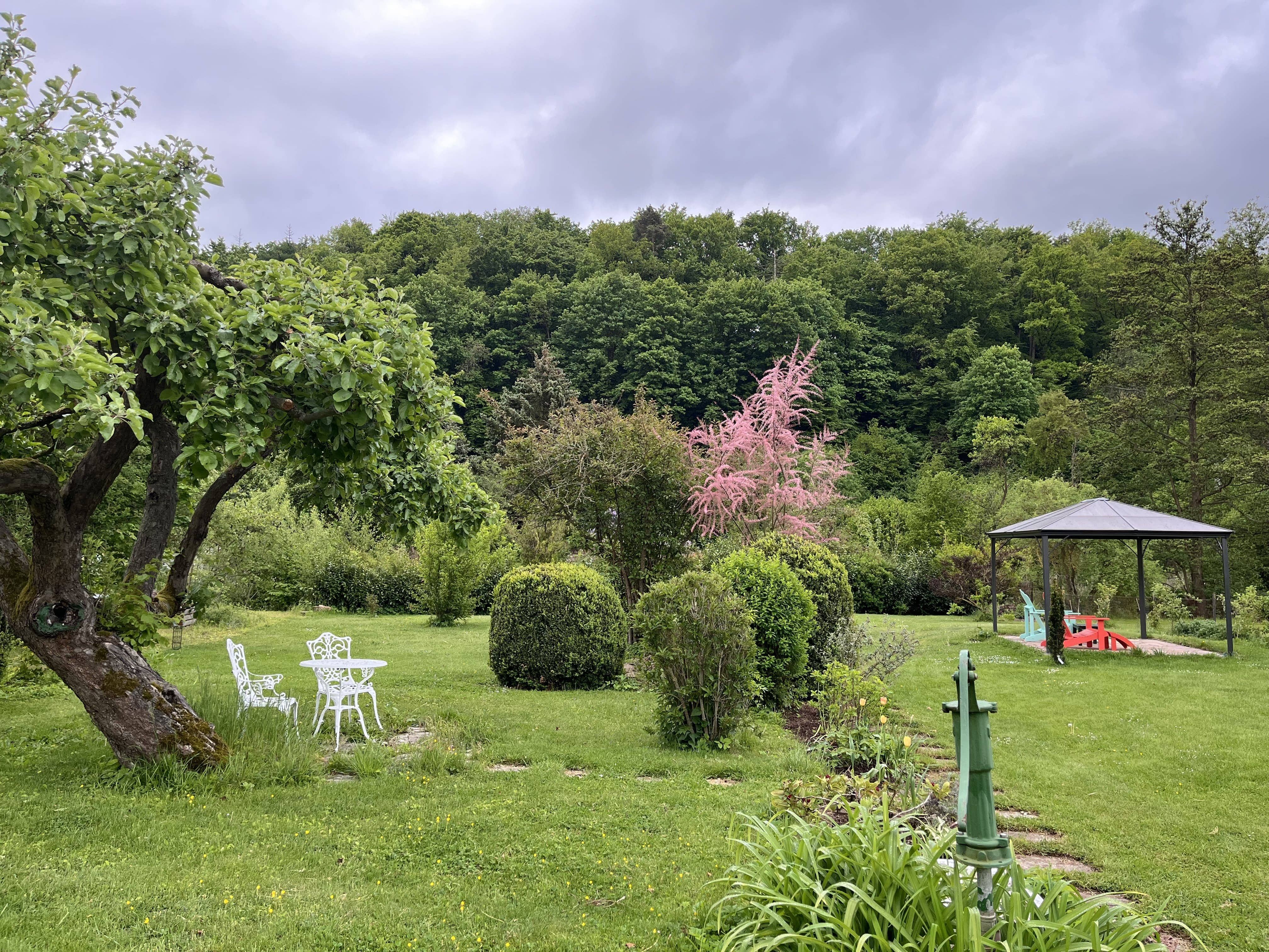 Blick in den Garten