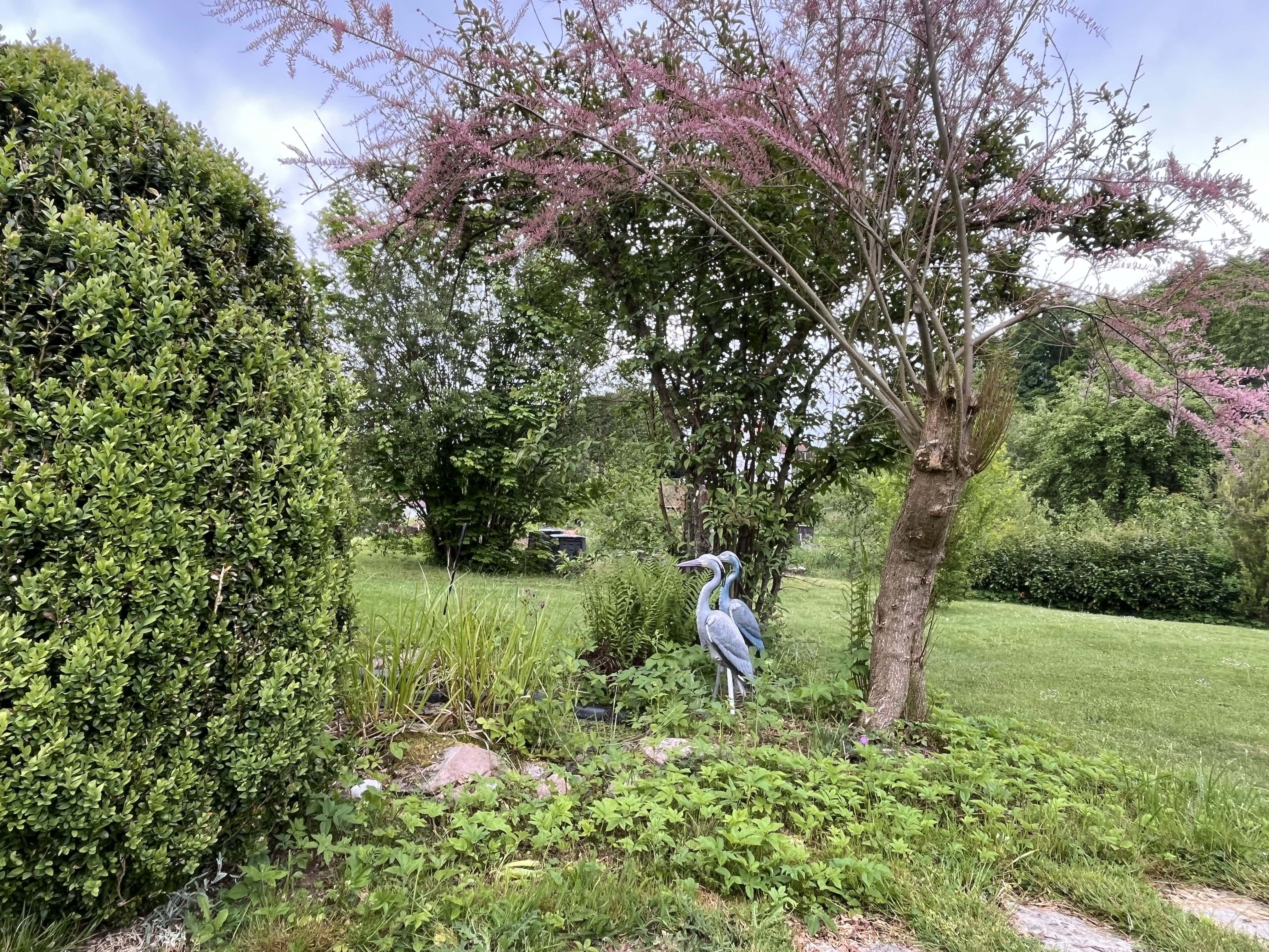 Blick in den Garten