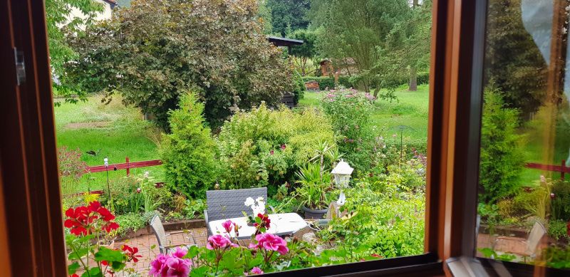 Blick aus dem Fenster