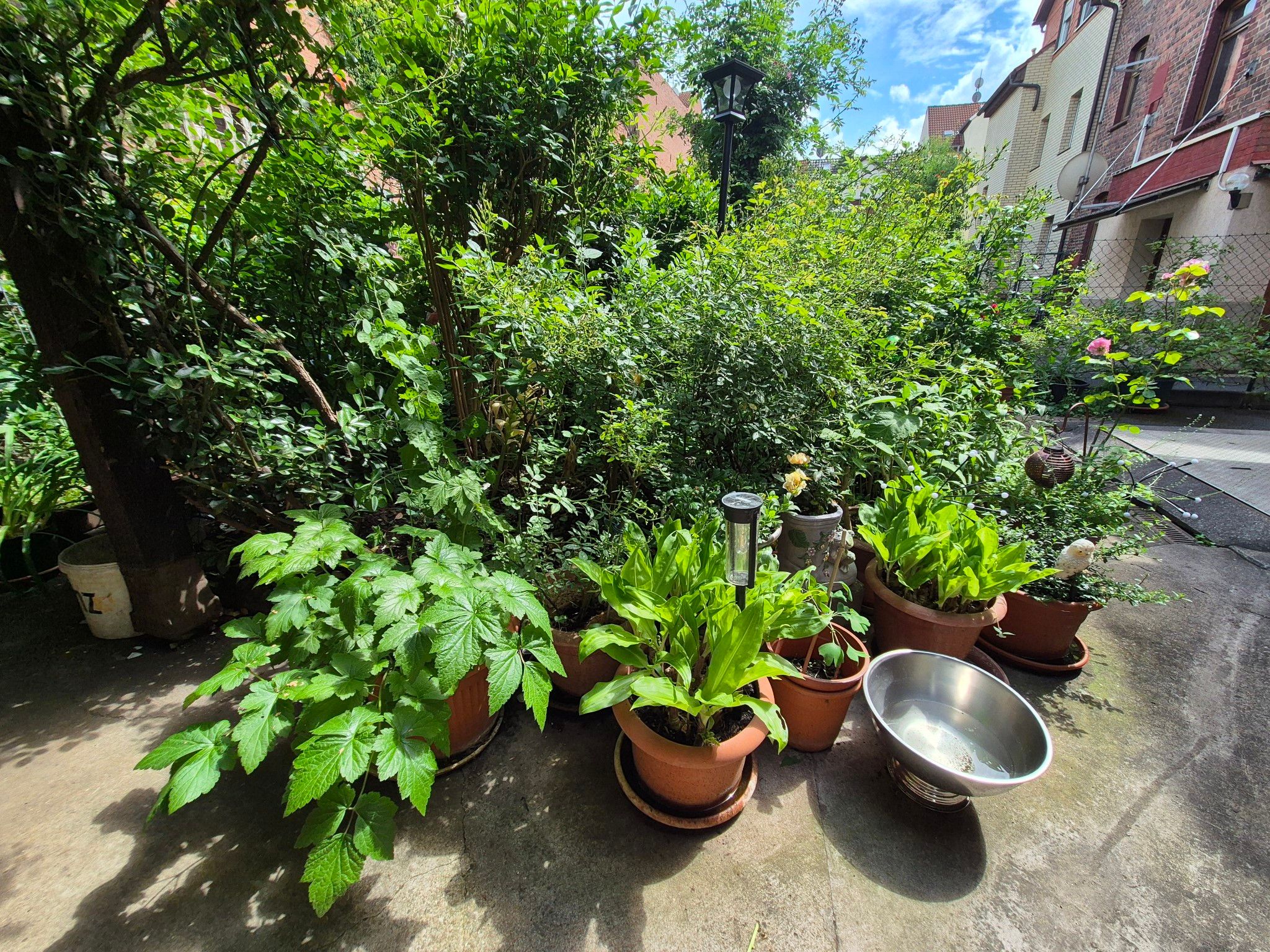 Garten