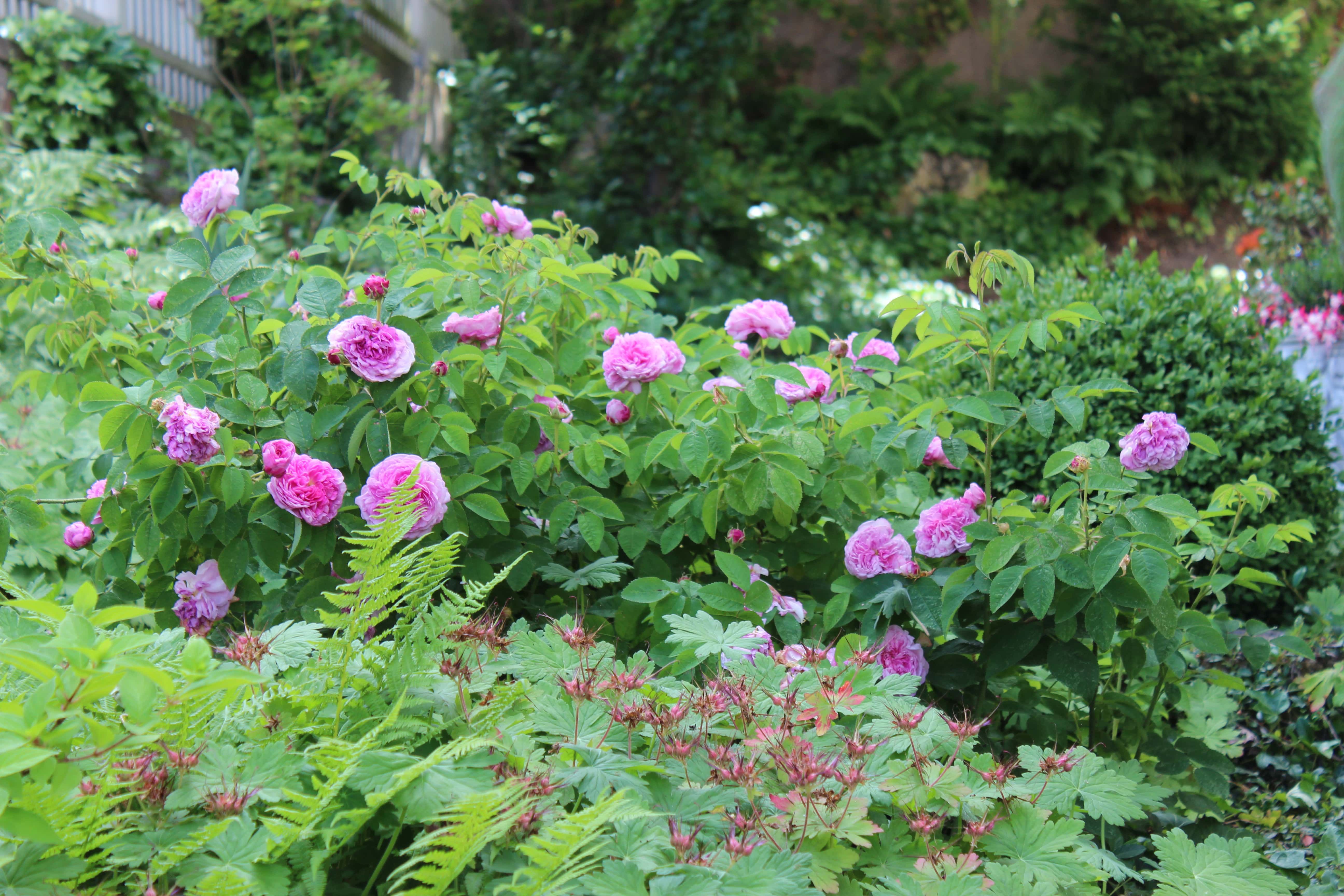 Garten