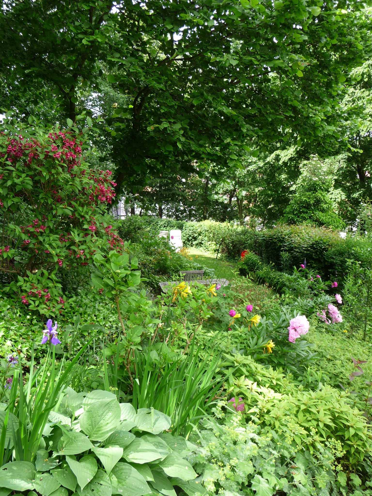 Garten