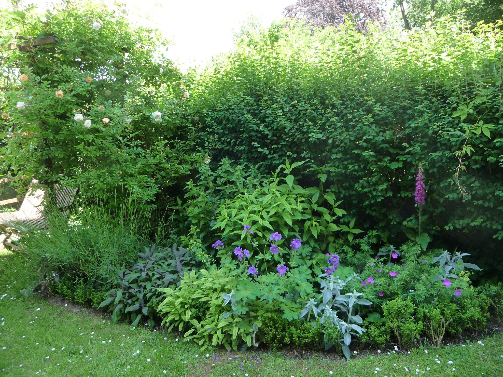 Garten