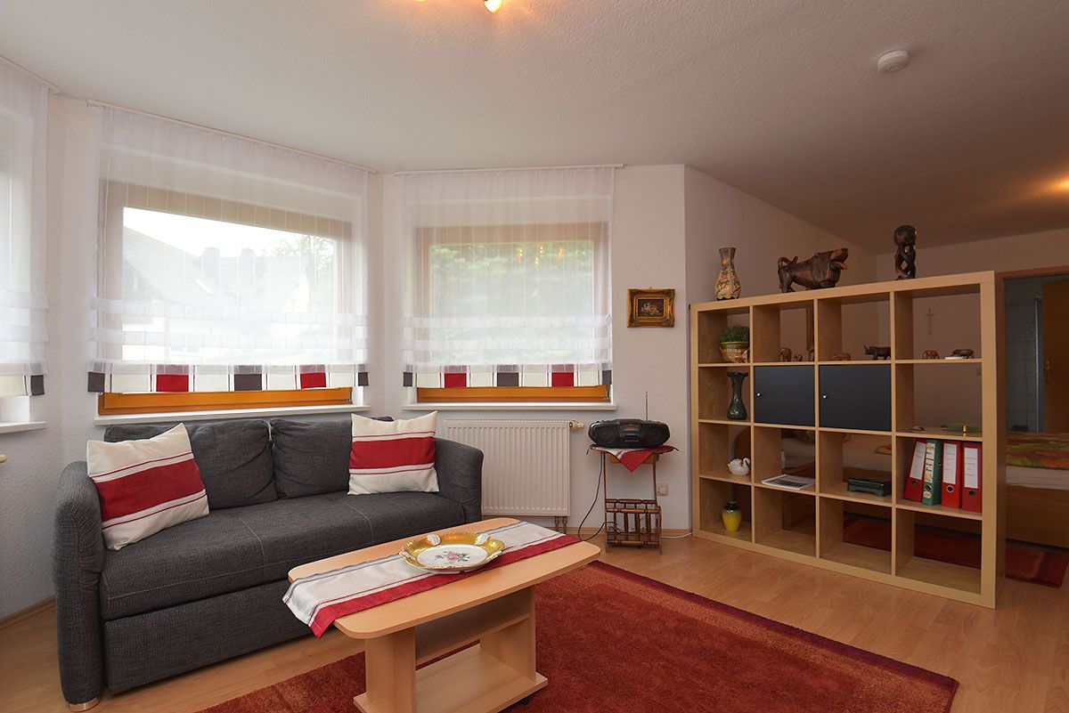 Wohnzimmer mit Schlafsofa