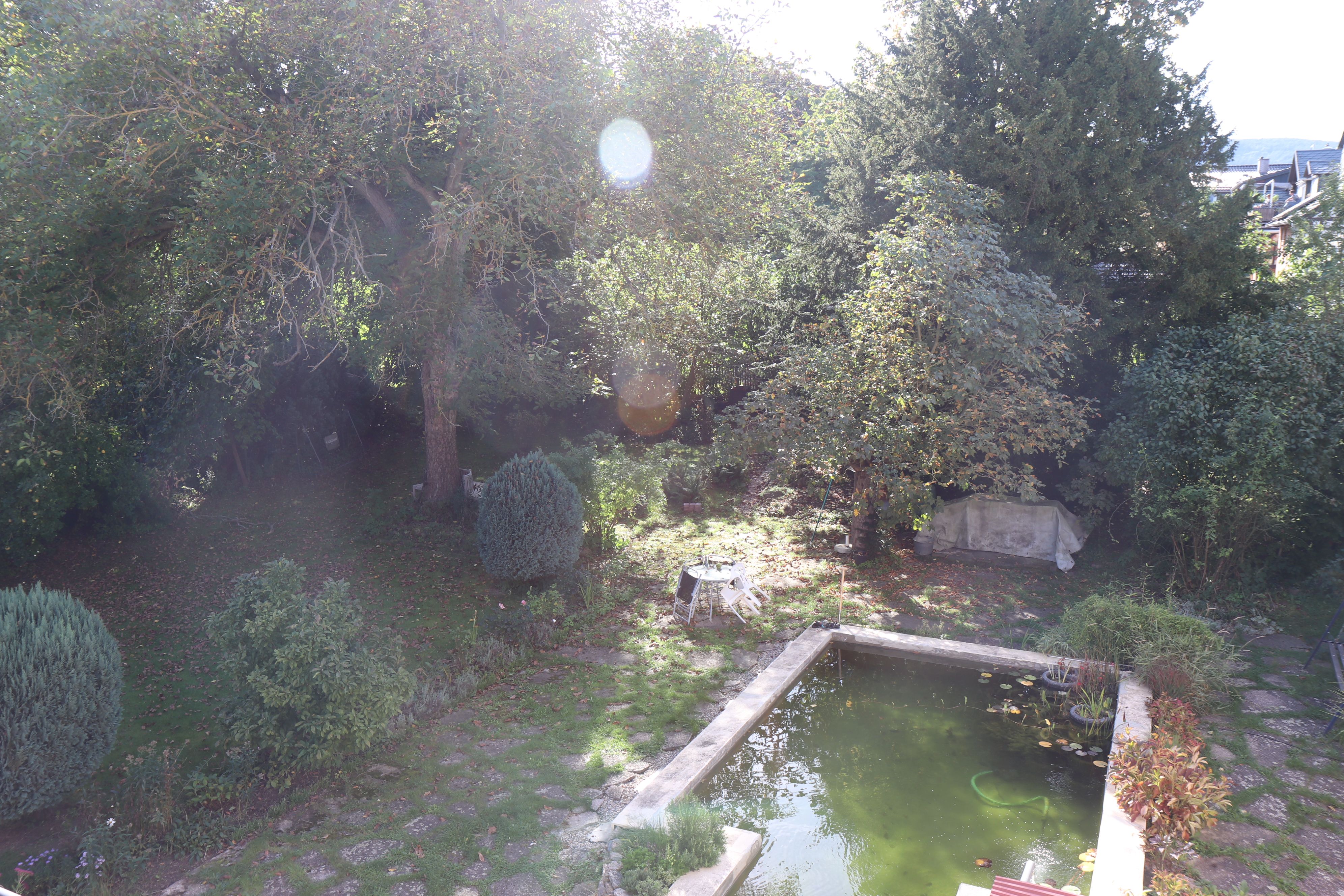 Garten mit Teich
