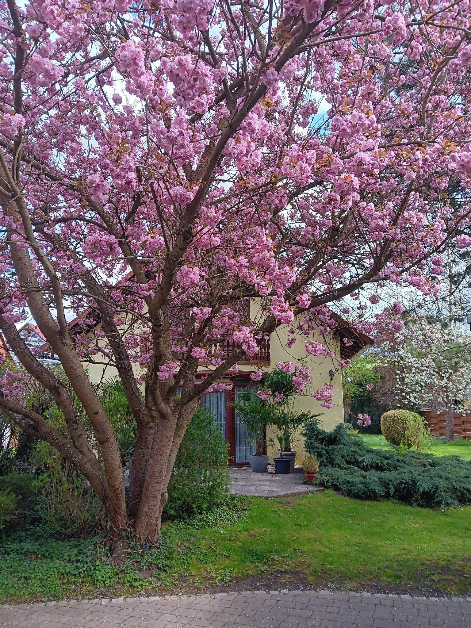 Garten