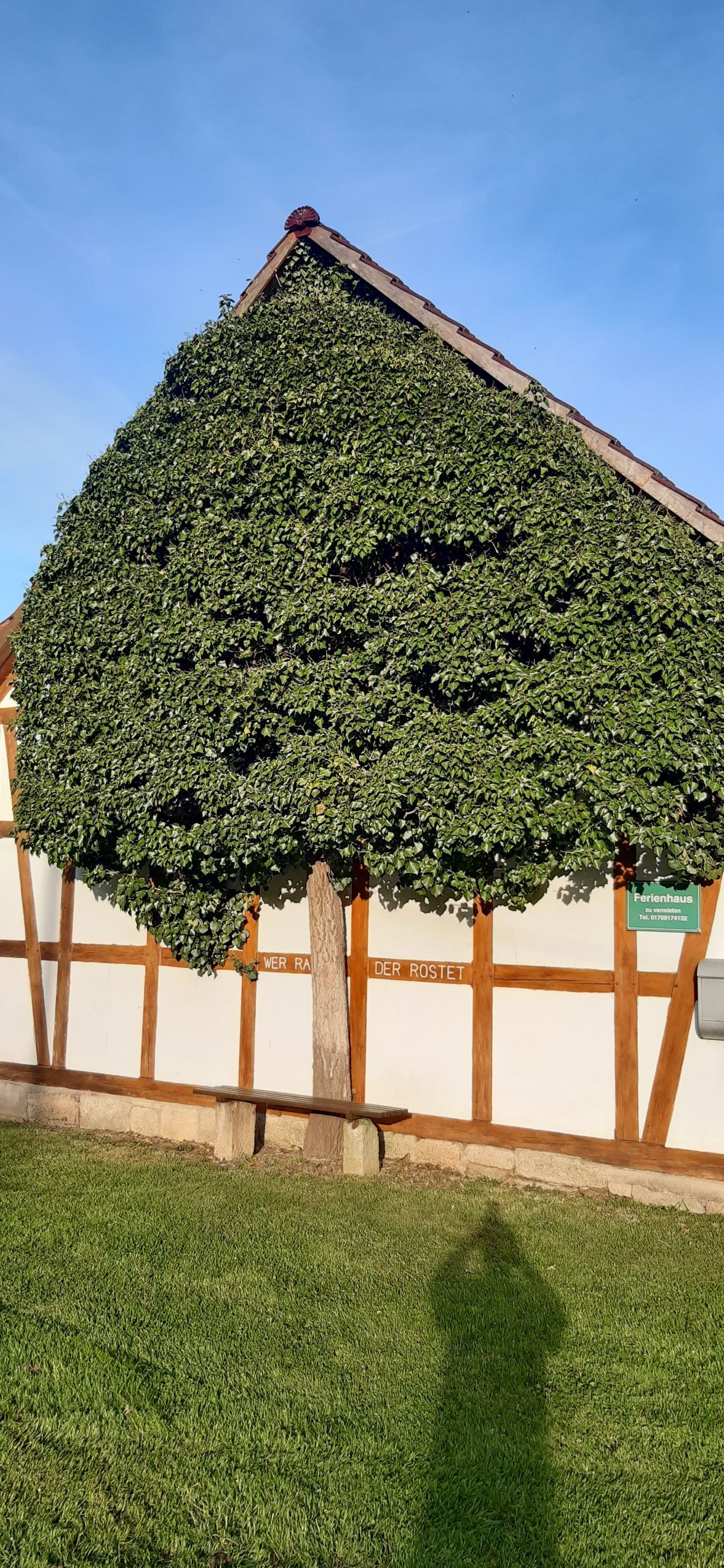 Haus