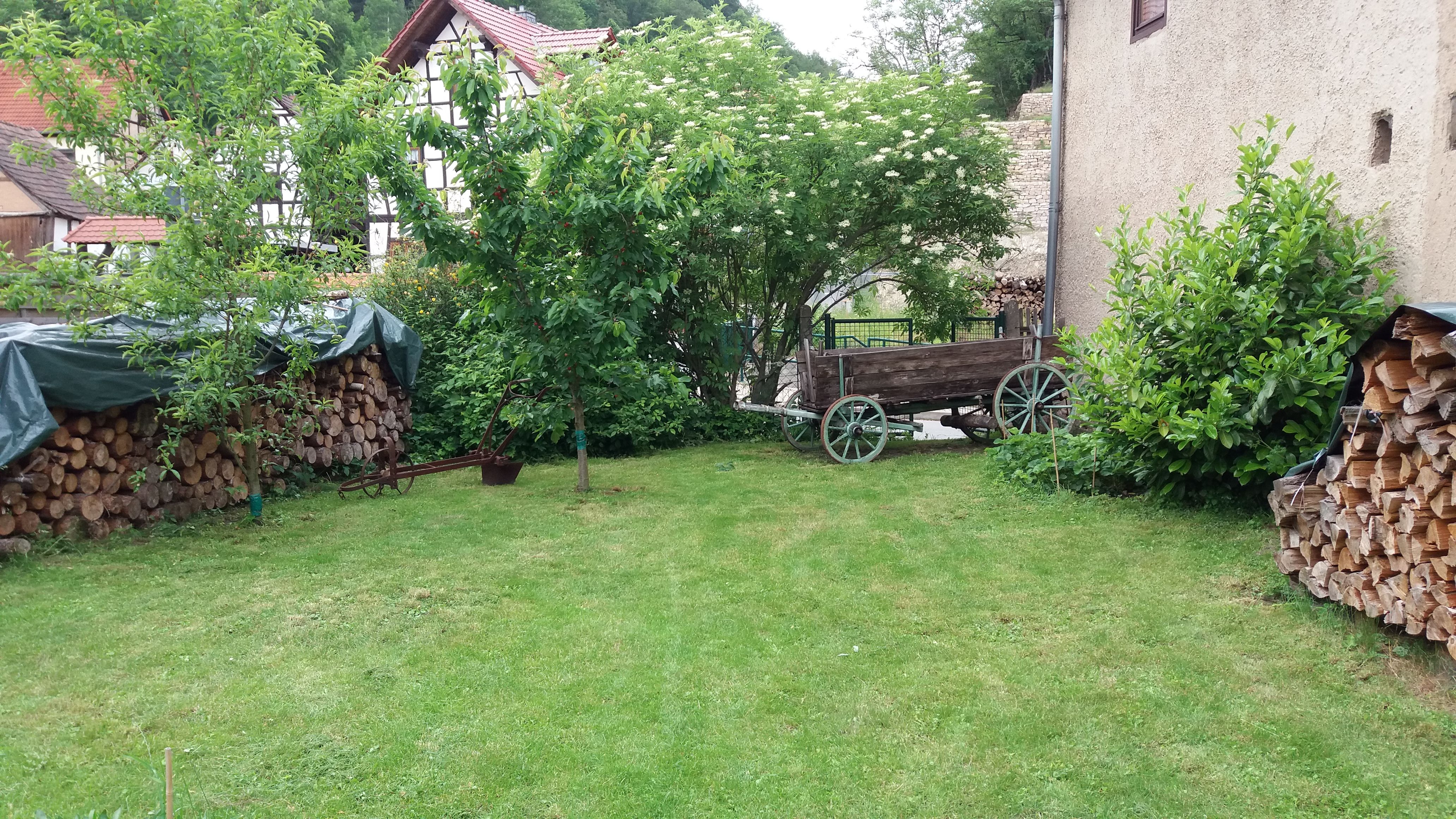 Garten