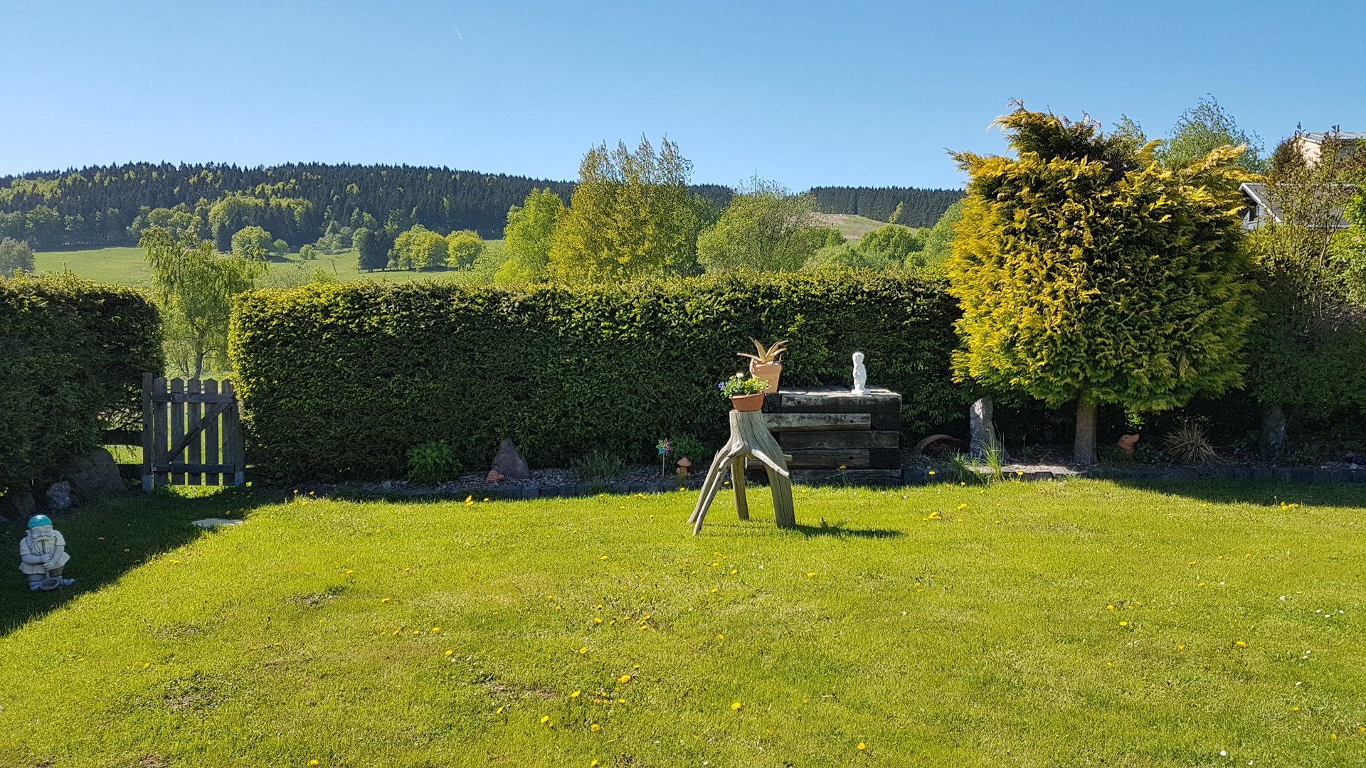 Blick auf den Garten