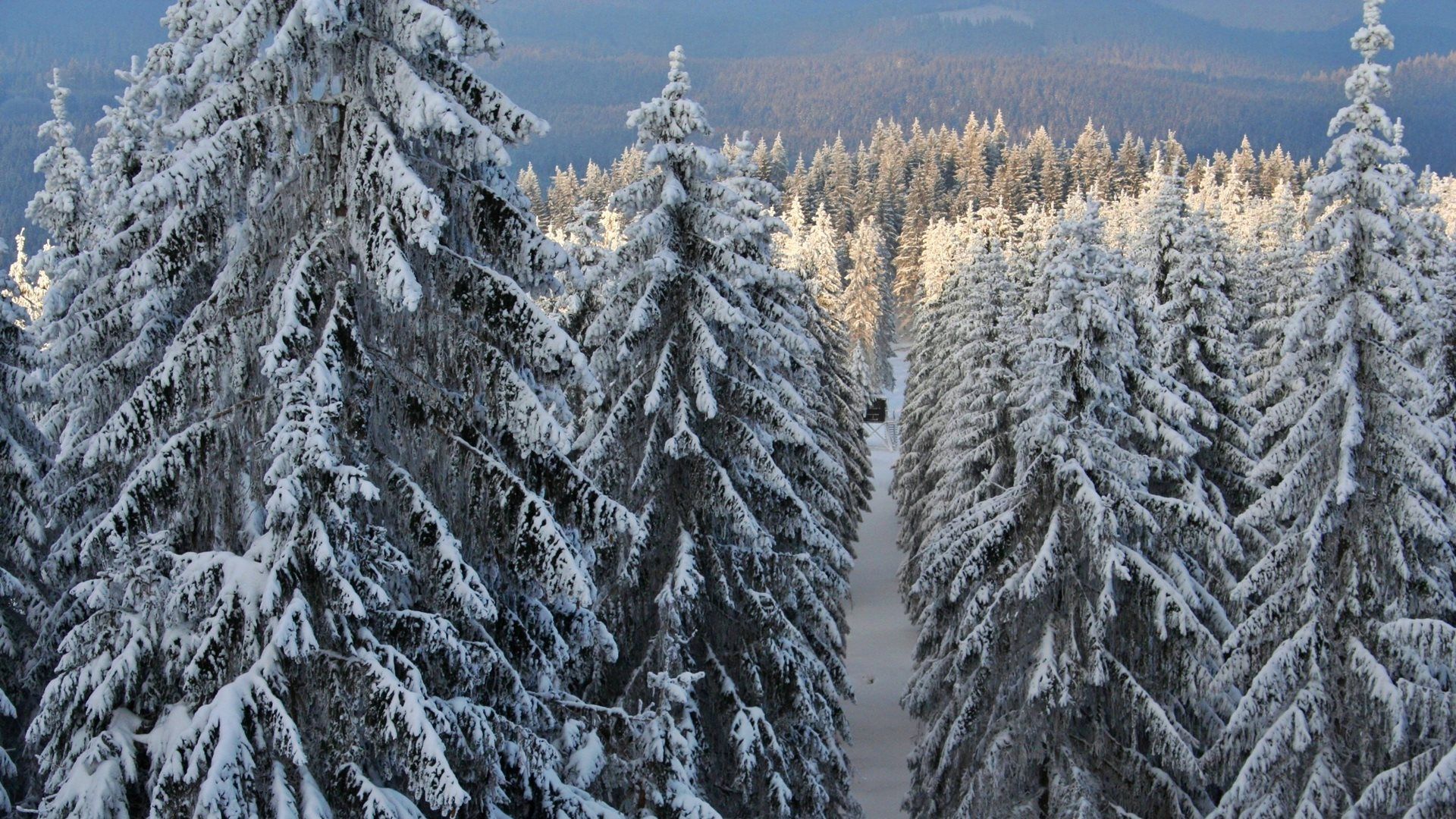 Herrliche Winterlandschaft