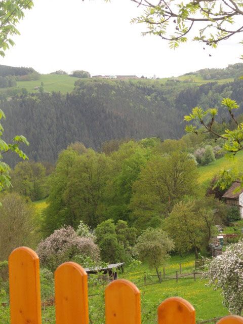 Blick von Terrasse