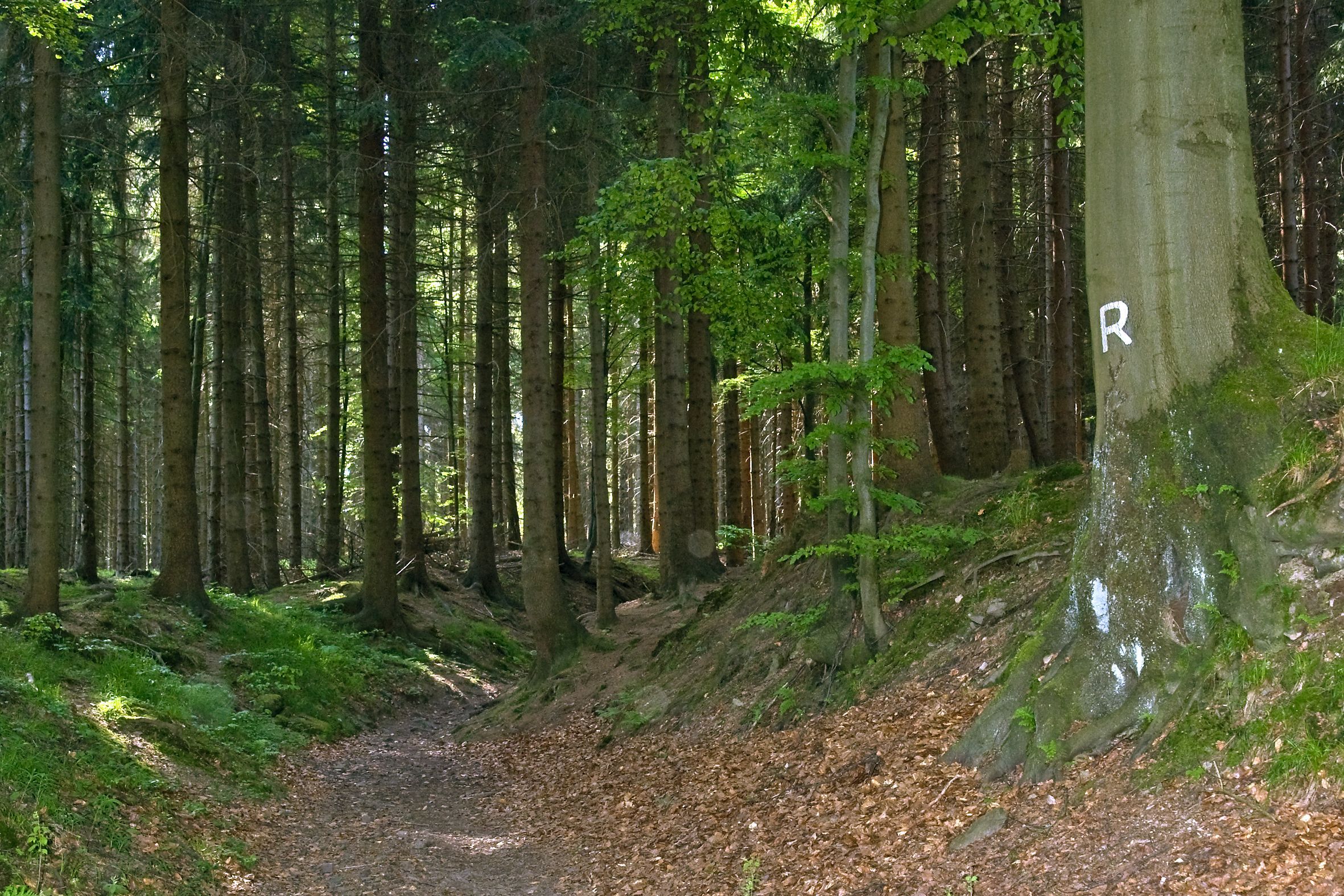 Rennsteig