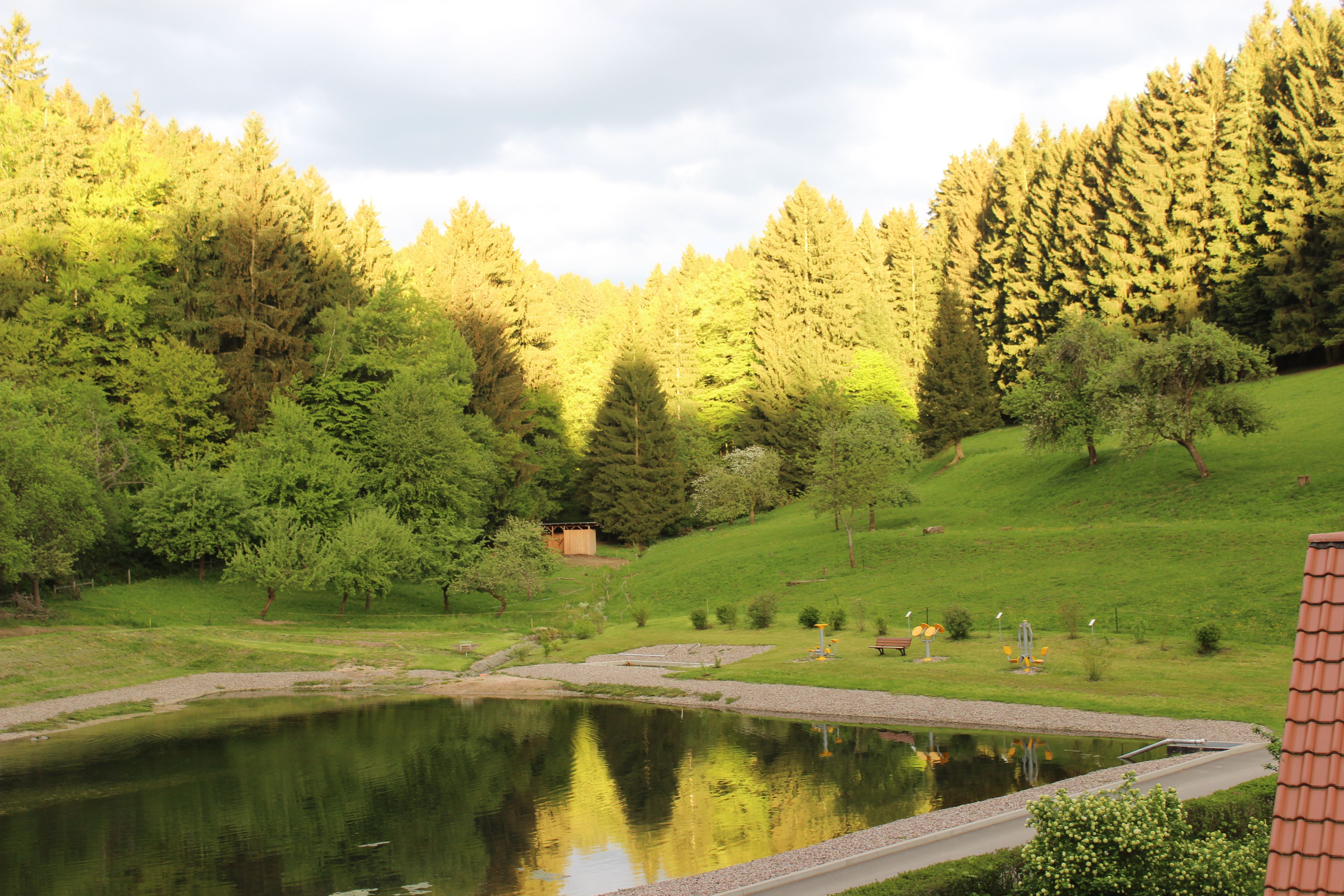 Fambach Ortsteil Heßles Ferienwohnung Nüssleshof Blick vom Teich auf den Wald