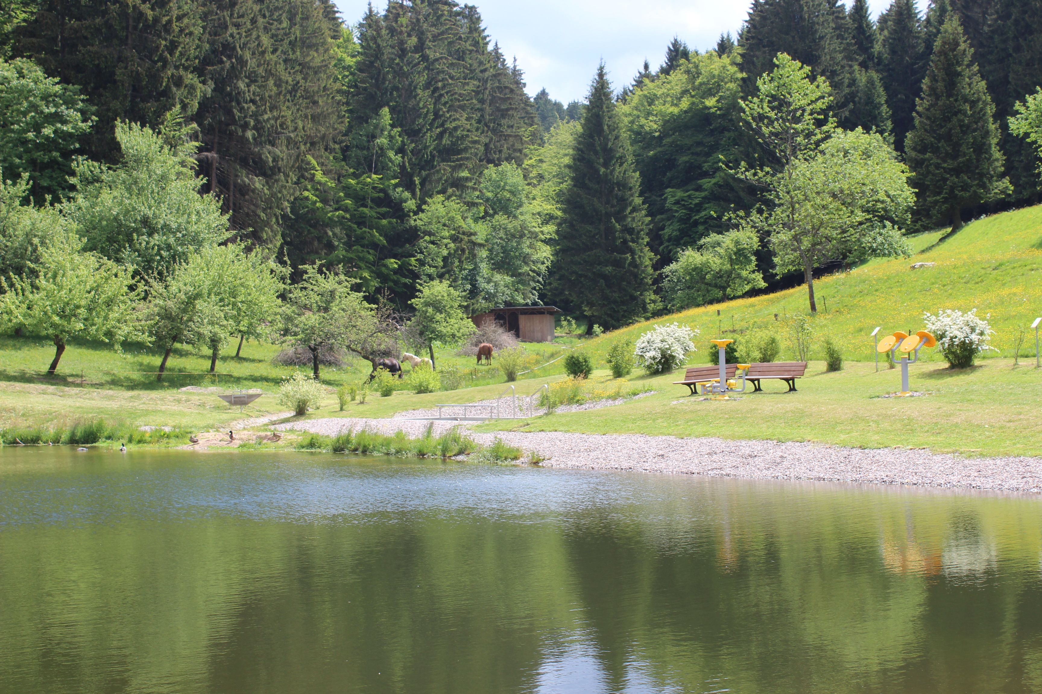 Fambach Ortsteil Heßles Ferienwohnung Nüssleshof Teich am Nüessleshof