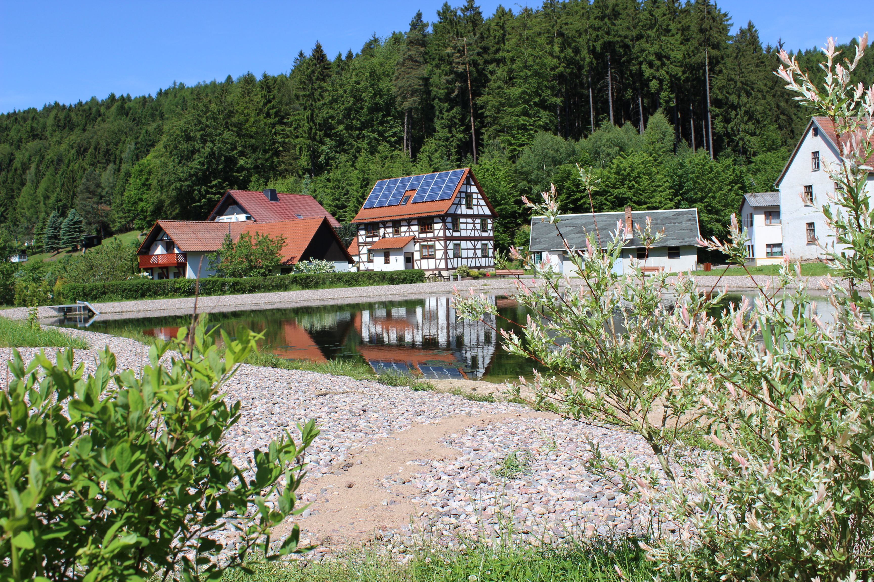 Fambach Ortsteil Heßles Ferienwohnung Nüssleshof Hausansicht Teich