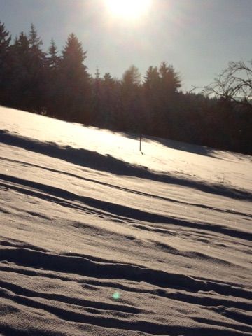 Winterlandschaft vor der Ferienwohnung