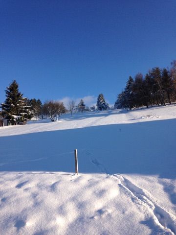 Winterlandschaft vor der Ferienwohnung