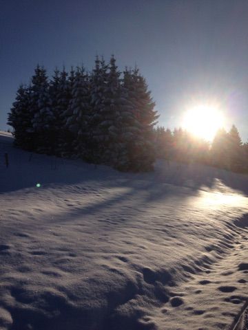 Winterlandschaft vor der Ferienwohnung