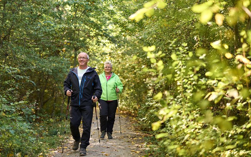 wandern im Nationalpark Hainich