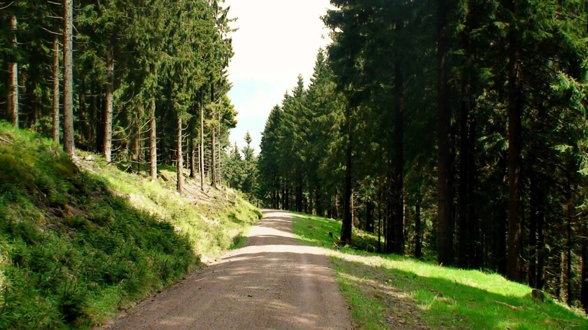 Wandern am Rennsteig