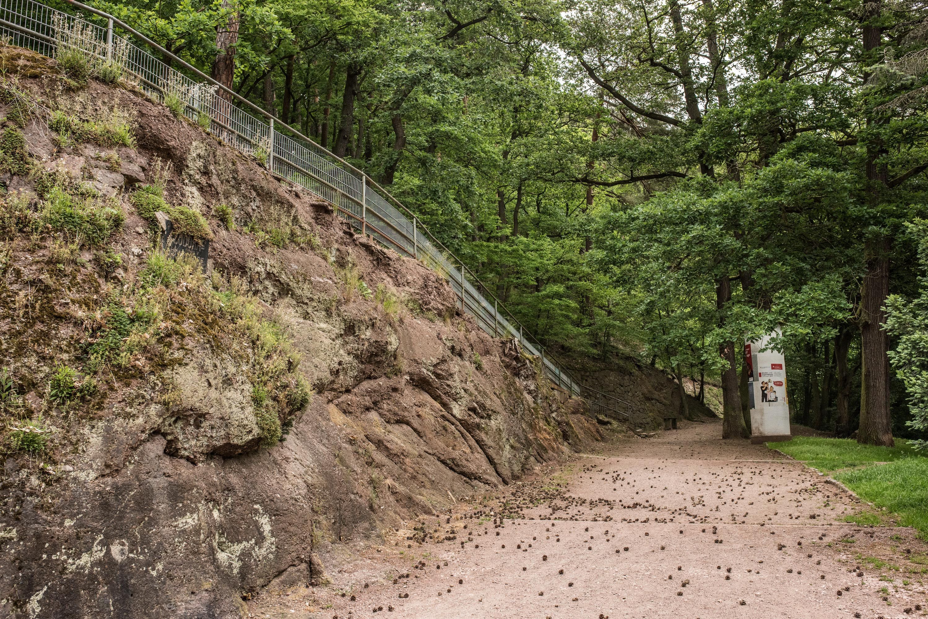 Ferienwohnung Natur-Kultur-Eisenach