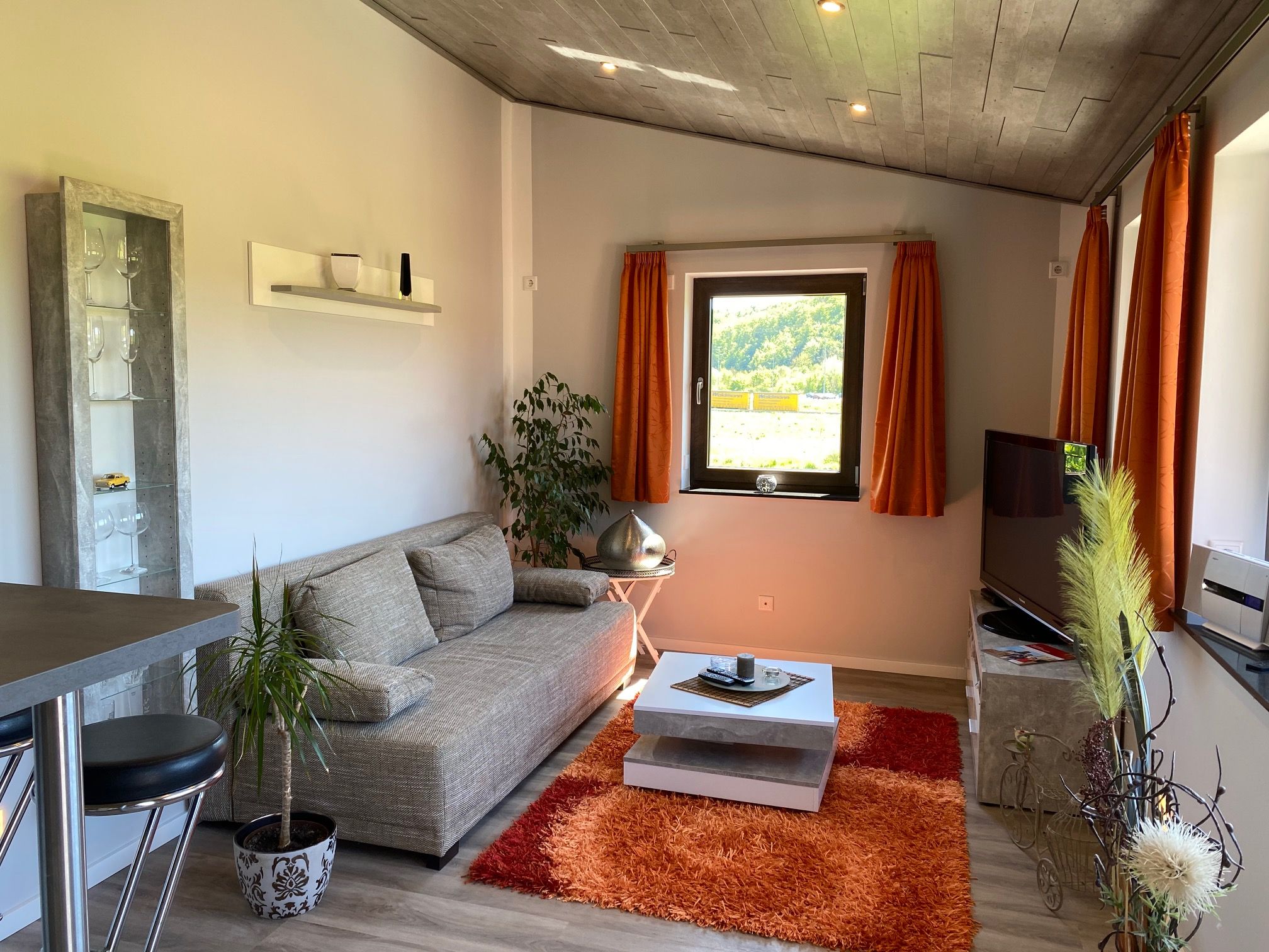Wohnzimmer Apartment 1