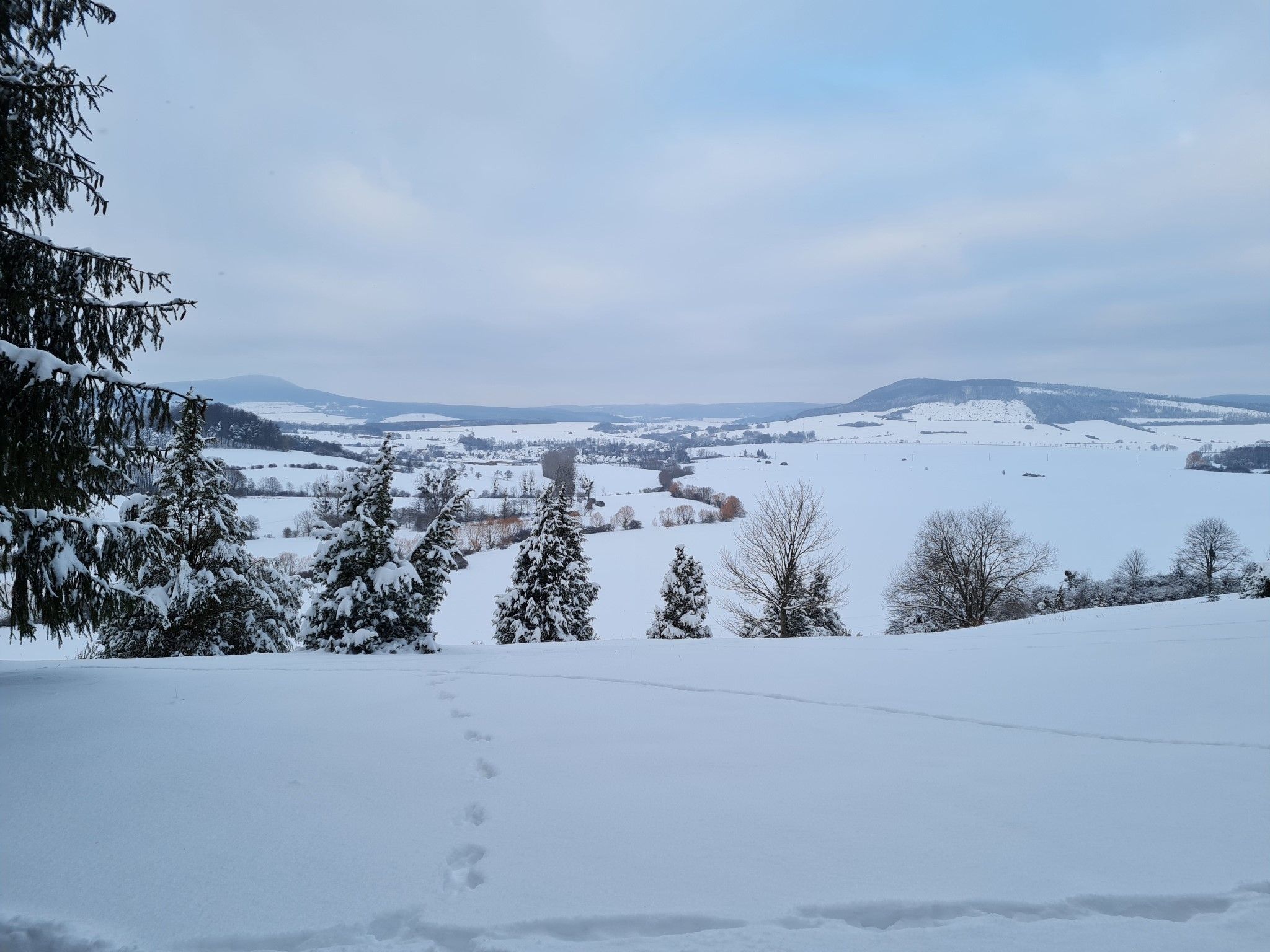 Winter